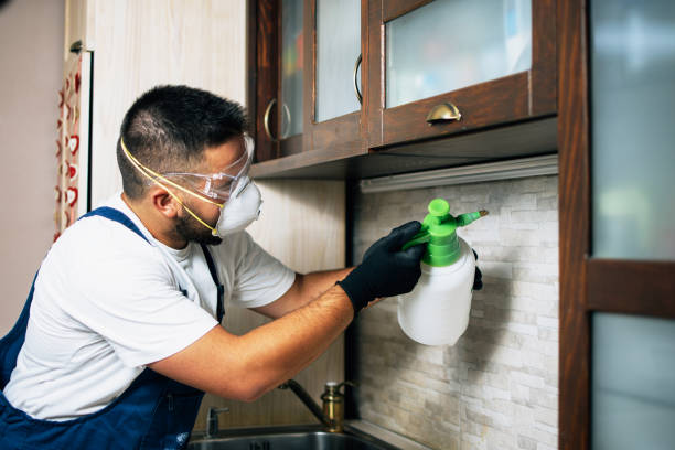 Best Pest Removal Services  in Casas Adobes, AZ