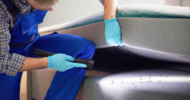 Best Exterminator Services  in Casas Adobes, AZ