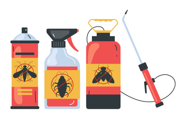 Trusted Casas Adobes, AZ Pest Control Experts