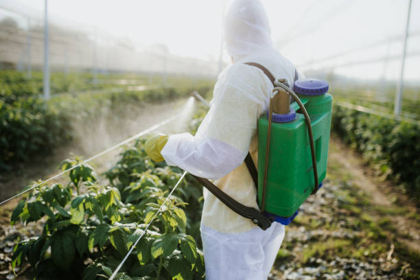 Best Best Pest Control Companies  in Casas Adobes, AZ